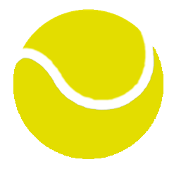 Kids Yellow Ball Tennis